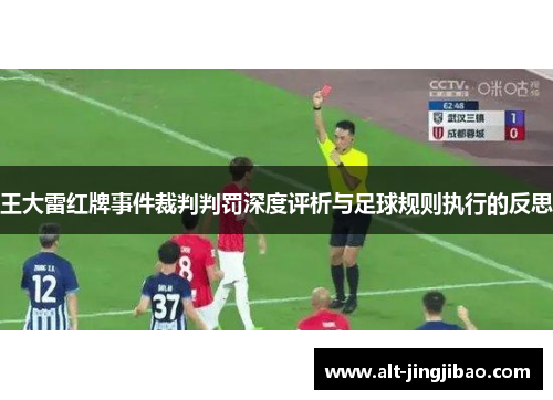 王大雷红牌事件裁判判罚深度评析与足球规则执行的反思